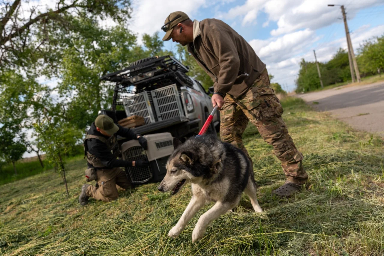 Radically Lean, Radically Effective